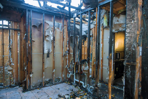 Professional Fire Damage Removal technician working in South Haven, MN