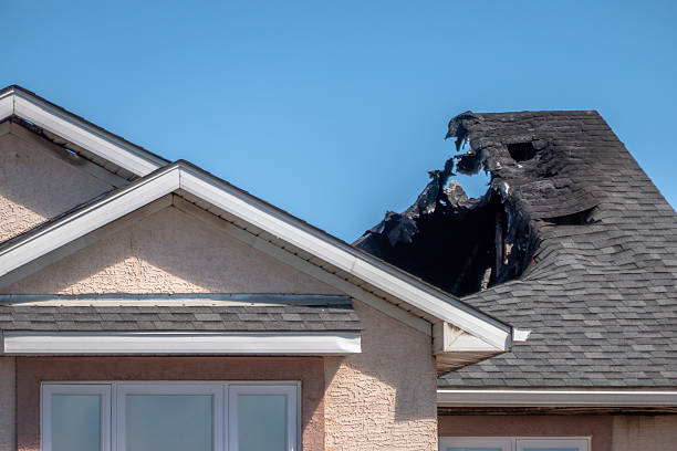 Top rated local Fire Damage Removal specialists in South Haven, MN